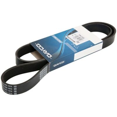 Dayco Modell 7PK1325 Bälte - Bälte Dayco Modell 7PK1325 Bälte - Bälte