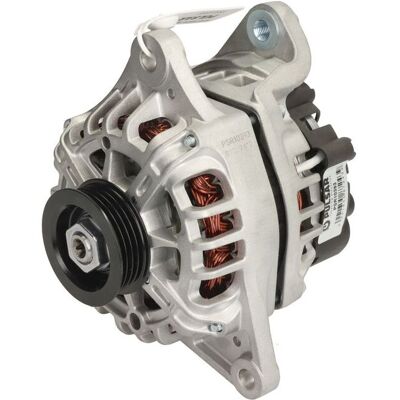 Generator Pulsar Rotating Electrics Psr10393 Generator Pulsar Rotating Electrics Psr10393