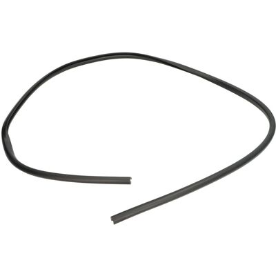 Vindruta, Skyddslist Blic 5703-04-6037690q Vindruta, Skyddslist Blic 5703-04-6037690q