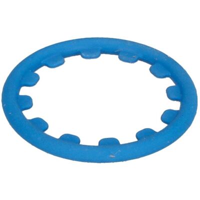 Element, Common Rail-Pump Bosch 1 928 301 161 Element, Common Rail-Pump Bosch 1 928 301 161