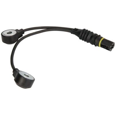 FAE 60213 Knacksensor - BMW FAE 60213 Knacksensor - BMW