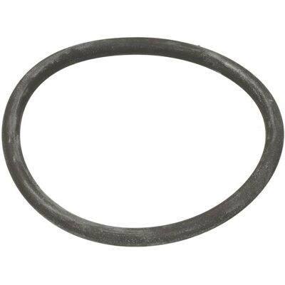 O-Ring, Växellåda Euroricambi 95537253 O-Ring, Växellåda Euroricambi 95537253
