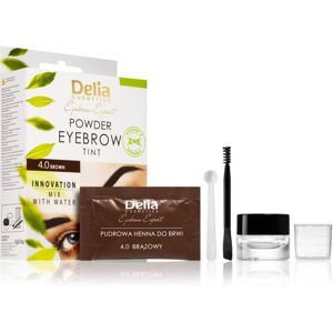 Delia Cosmetics Eyebrow Expert Ögonbrynstoning Skugga 4.0 Brown 4 g