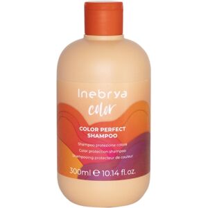 Inebrya Ice Cream Pro-Color Shampoo - 300ml Inebrya Ice Cream Pro-Color Shampoo - 300ml