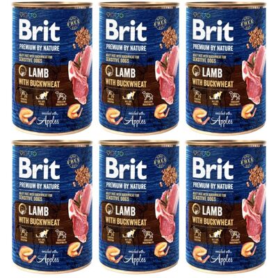 Brit Premium By Nature Lamm Och Bovete 6x400 G Naturlig Hundmat Brit Premium By Nature Lamm Och Bovete 6x400 G Naturlig Hundmat