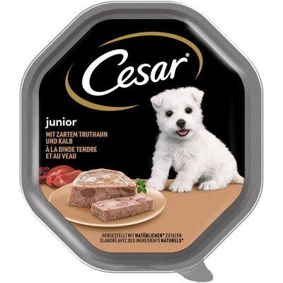Cesar Junior 150 G Paté Med Kalkon Och Kalv För Valpar Cesar Junior 150 G Paté Med Kalkon Och Kalv För Valpar