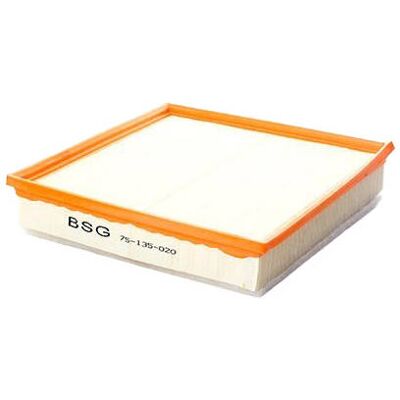 BSG BSG 75-135-020 Luftfilter BSG BSG 75-135-020 Luftfilter
