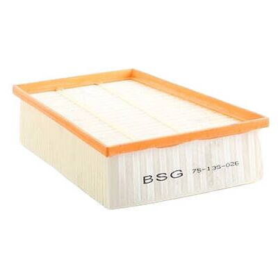 BSG BSG 75-135-026 Luftfilter BSG BSG 75-135-026 Luftfilter