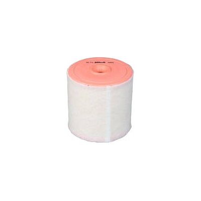 PURFLUX A3053 Luftfilter PURFLUX A3053 Luftfilter