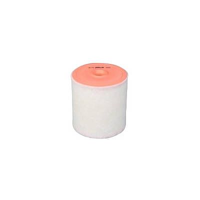 PURFLUX A3055 Luftfilter PURFLUX A3055 Luftfilter