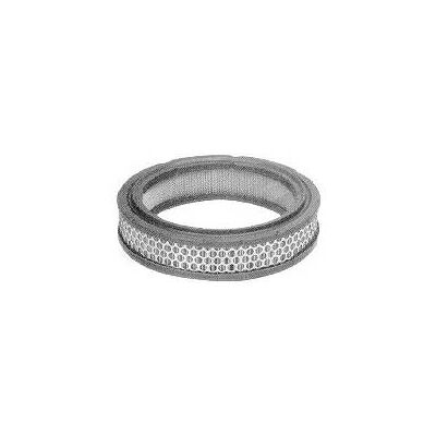 CHAMPION V429/606 Luftfilter CHAMPION V429/606 Luftfilter