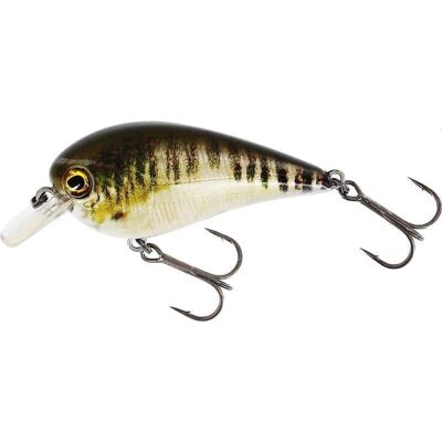 Westin BassBite 2.5 Squarebill 7cm 16g Floating Real Minnow Westin BassBite 2.5 Squarebill 7cm 16g Floating Real Minnow