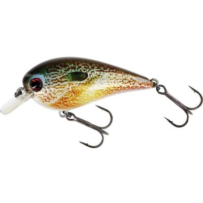 Westin BassBite 2.5 Squarebill 7cm 16g Floating Real Pumpkinseed Westin BassBite 2.5 Squarebill 7cm 16g Floating Real Pumpkinseed