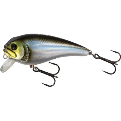 Westin FatBite Crankbait 8cm 24g Floating Blueback Herring Westin FatBite Crankbait 8cm 24g Floating Blueback Herring