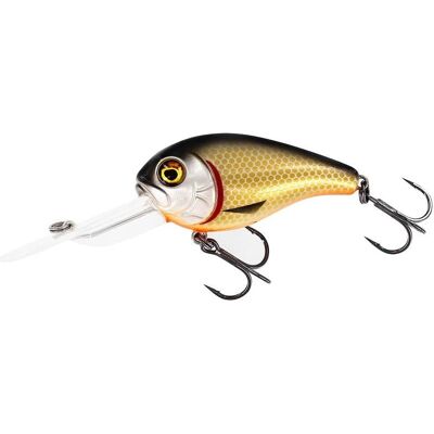 Westin MegaBite DR Crankbait 6cm 19g Floating Official Roach Westin MegaBite DR Crankbait 6cm 19g Floating Official Roach