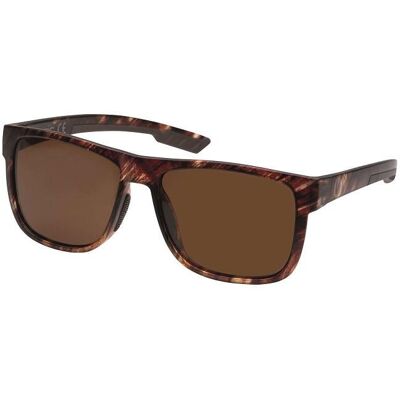 Kinetic Tampa Bay Polarized Brown Kinetic Tampa Bay Polarized Brown