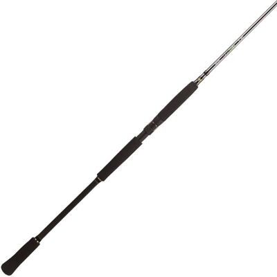 BFT Raptor G2 Pike Spin 8' -100g - 2pcs Haspel BFT Raptor G2 Pike Spin 8' -100g - 2pcs Haspel