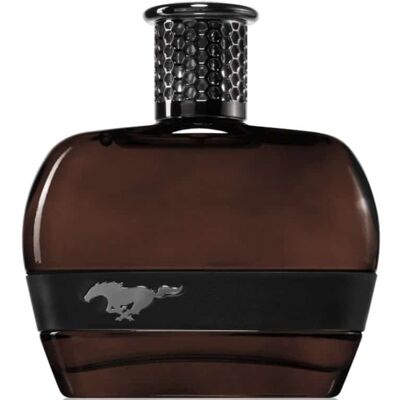Ford Mustang Black For Men Edt 100ml Ford Mustang Black For Men Edt 100ml