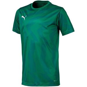 T-shirts med korta ärmar Puma Cup EU XS Pojkar T-shirts med korta ärmar Puma Cup EU XS Pojkar
