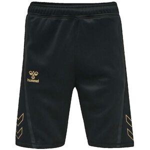 Shorts & Bermudas hummel Short Cima XK EU S Herr