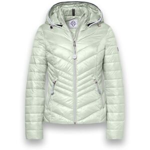 Jackor District Magnolia EU S,EU M,EU L Dam Jackor District Magnolia EU S,EU M,EU L Dam