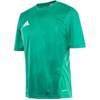 T-shirts med korta ärmar adidas Core 15 Training EU L Herr T-shirts med korta ärmar adidas Core 15 Training EU L Herr