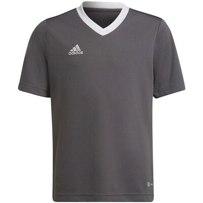 T-shirts med korta ärmar adidas Entrada 22 Jsy EU S,EU M,EU L,EU XS,EU XXS Pojkar T-shirts med korta ärmar adidas Entrada 22 Jsy EU S,EU M,EU L,EU XS,EU XXS Pojkar