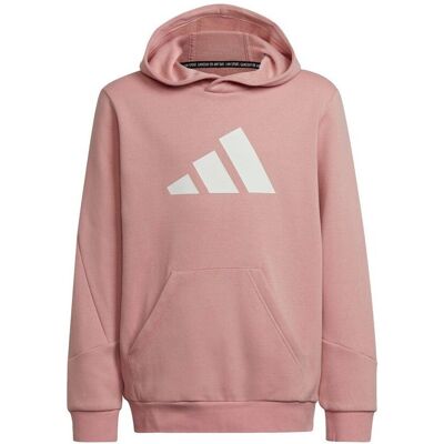 Huvtröjor adidas HE1923 EU L,EU XL Huvtröjor adidas HE1923 EU L,EU XL
