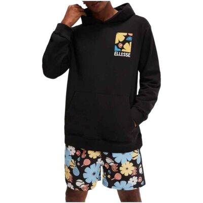 Huvtröjor Ellesse SHV20024 EU XL Huvtröjor Ellesse SHV20024 EU XL
