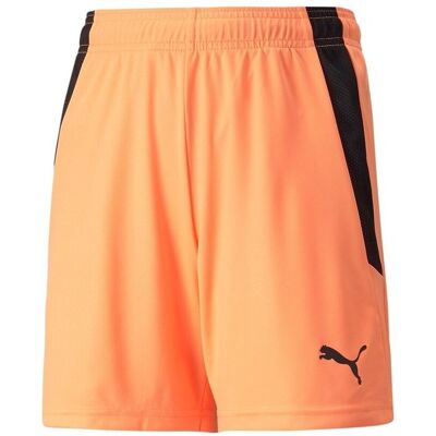 Shorts & Bermudas Puma 70493121 EU XL Pojkar Shorts & Bermudas Puma 70493121 EU XL Pojkar