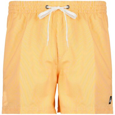 Baddräkter Quiksilver EVERYDAY DELUXE VOLLEY 15 EU S,EU M,EU L,EU XL Herr Baddräkter Quiksilver EVERYDAY DELUXE VOLLEY 15 EU S,EU M,EU L,EU XL Herr