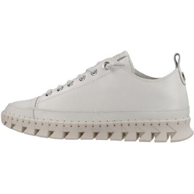 Sneakers Carmela 163105c 39 Dam Sneakers Carmela 163105c 39 Dam