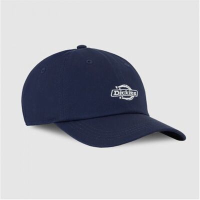 Keps Dickies Essential dad cap One size Herr Keps Dickies Essential dad cap One size Herr
