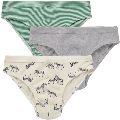 Briefs Petit Bateau LOT SLIPS X3 3 år,4 år,5 år Briefs Petit Bateau LOT SLIPS X3 3 år,4 år,5 år