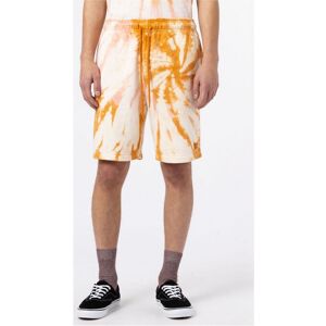 Shorts & Bermudas Dickies Seatac short EU L Herr Shorts & Bermudas Dickies Seatac short EU L Herr