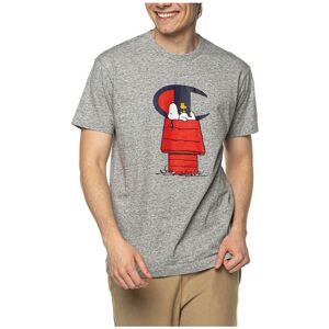 T-shirts med korta ärmar Champion X Peanuts EU S,EU L Herr T-shirts med korta ärmar Champion X Peanuts EU S,EU L Herr