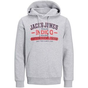 Huvtröjor Jack & Jones 12210826 Grey EU L Huvtröjor Jack & Jones 12210826 Grey EU L