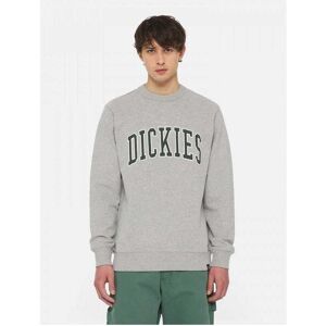 Sweatshirts Dickies Aitkin sweatshirt EU XL Sweatshirts Dickies Aitkin sweatshirt EU XL