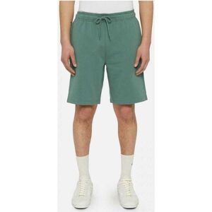 Shorts & Bermudas Dickies Mapleton short EU S,EU L Herr Shorts & Bermudas Dickies Mapleton short EU S,EU L Herr