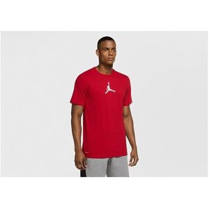 T-shirts med korta ärmar Nike Air Jordan Dri-fit Air Graphic EU S,EU M,EU L Herr T-shirts med korta ärmar Nike Air Jordan Dri-fit Air Graphic EU S,EU M,EU L Herr