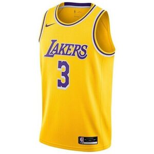 T-shirts med korta ärmar Nike Nba Los Angeles Lakers Anthony Davis Swingman EU XXL,EU M,EU L,EU XL Herr T-shirts med korta ärmar Nike Nba Los Angeles Lakers Anthony Davis Swingman EU XXL,EU M,EU L,EU XL Herr
