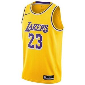 Nike LeBron James Lakers ärmlös Basket T-Shirt Nike LeBron James Lakers ärmlös Basket T-Shirt