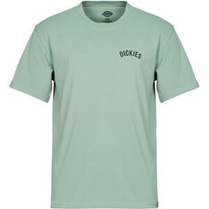 T-shirts med korta ärmar Dickies DICKIES SNAKE SS TEE EU XXL,EU S,EU M,EU L,EU XL Herr T-shirts med korta ärmar Dickies DICKIES SNAKE SS TEE EU XXL,EU S,EU M,EU L,EU XL Herr