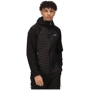 Dunjackor Regatta Hybridjacke Andreson Vii EU XXL Herr Dunjackor Regatta Hybridjacke Andreson Vii EU XXL Herr