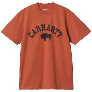 Jackor / Blazers Carhartt Chromo EU L Herr Jackor / Blazers Carhartt Chromo EU L Herr