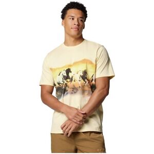 T-shirts med korta ärmar Columbia Explorers Canyon EU L,EU XL Herr T-shirts med korta ärmar Columbia Explorers Canyon EU L,EU XL Herr