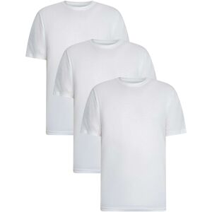 T-shirts med korta ärmar Vans 3-pack t-shirt med klassisk passform EU S,EU XS Herr T-shirts med korta ärmar Vans 3-pack t-shirt med klassisk passform EU S,EU XS Herr