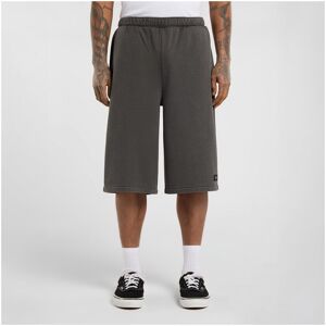 Shorts & Bermudas Dickies Streetsboro 13 inch sweat EU L Herr Shorts & Bermudas Dickies Streetsboro 13 inch sweat EU L Herr