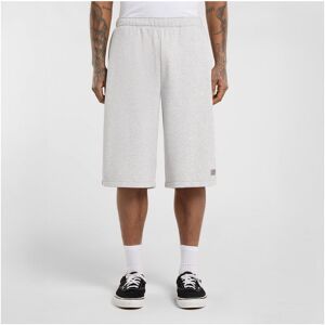Shorts & Bermudas Dickies Streetsboro 13 inch sweat EU S,EU M,EU L,EU XS Herr Shorts & Bermudas Dickies Streetsboro 13 inch sweat EU S,EU M,EU L,EU XS Herr