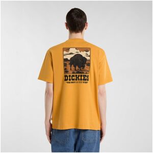 T-shirts med korta ärmar Dickies Darrtown ss tee EU M,EU L Herr T-shirts med korta ärmar Dickies Darrtown ss tee EU M,EU L Herr